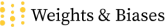 Weights & Biases logo